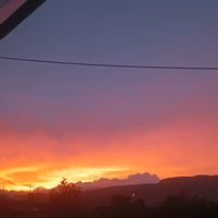 shirley6968_l