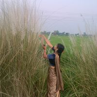 sanibhandari37