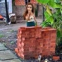 nhạc nền - Cô Cô Sục