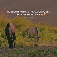 mi_ranchito_querido_