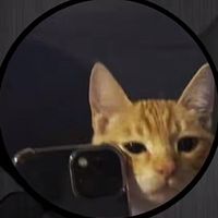 suara asli - KUCING CUEK