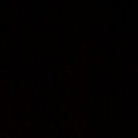 adriana_8783