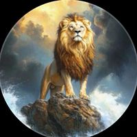 lionesmaram18.5at
