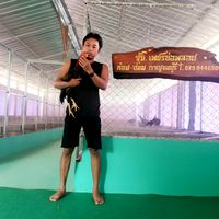 tom_wiwat2531