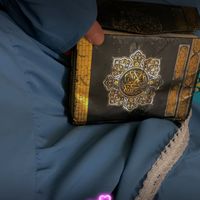 tassedatarasset5