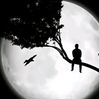 seyid_44_