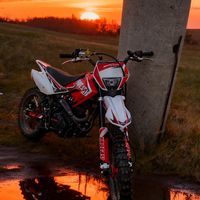 dims335
