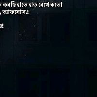 rashed37211