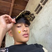anh.ov.hg