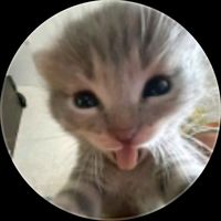 original sound - itsmeprincess