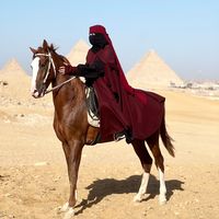 alzahraa.basheer