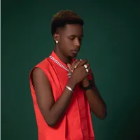 original sound - ogasanoussi