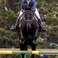 tessa_eventing.extras
