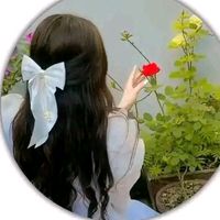 mayaboti.www0