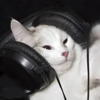 original sound - lyricsulya