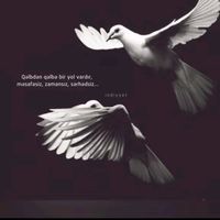 orijinal ses