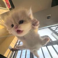 오리지널 사운드 - 오또리🫶🏻