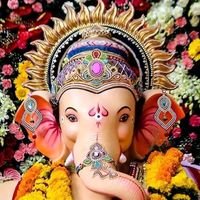 user5807041266280