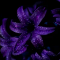 original sound - mabonza00