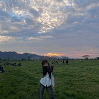 nanmyomyosan2