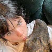 suara asli - semangat AU