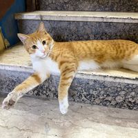 binita.nepali619