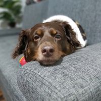 janejanejackson