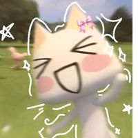 meow_4501