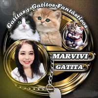 marvivi40
