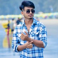 robin_vhall_7