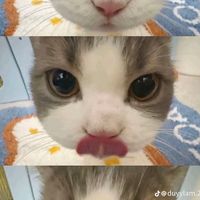 nhạc nền - N🥰
