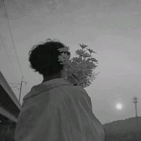 its_sallo_0