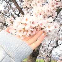 オリジナル楽曲 - リセ