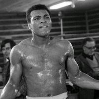 boxingmma0