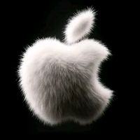 apple.store.kohat3358