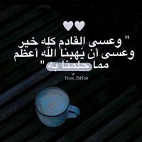user6681230857903tiktok
