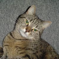 original sound - 😭💔