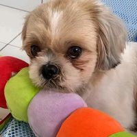 remoboy11122