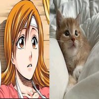 sweetnsourporklover16