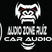 audiozoneruizcaraudio2