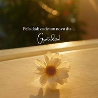 vidaabundancia1