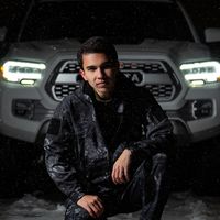 оригинальный звук