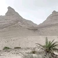 ajnasshaimas