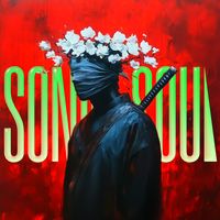 original sound - Sonic Soul