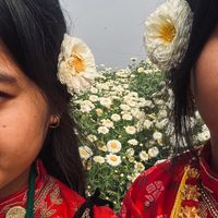 sumitra___6