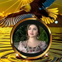 bonusha9567