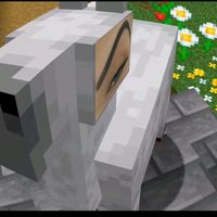 dizzcraft