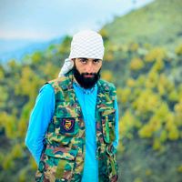 qalander31372