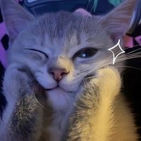 much_nu