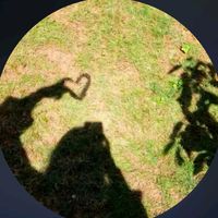user190199471634